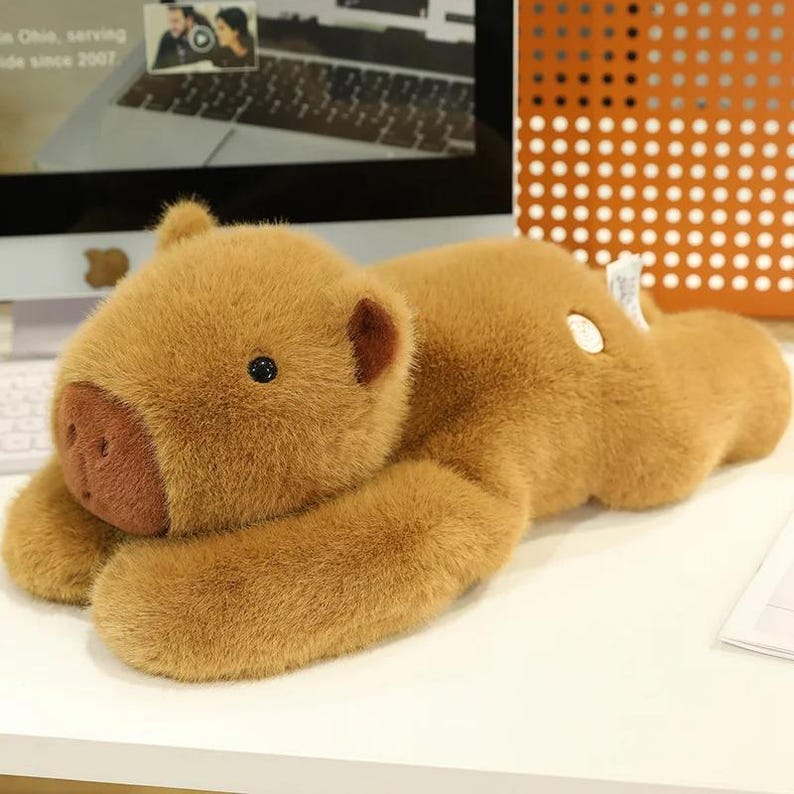 Capybara Plush Toy Long Arm Stuffed Animal, Soft Fluffy Capybara Plush Pillow, Cute Capybara Doll Gift for Kids, Boys & Girls